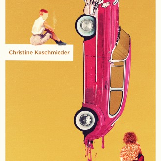 Schweinesystem – Christine Koschmieder